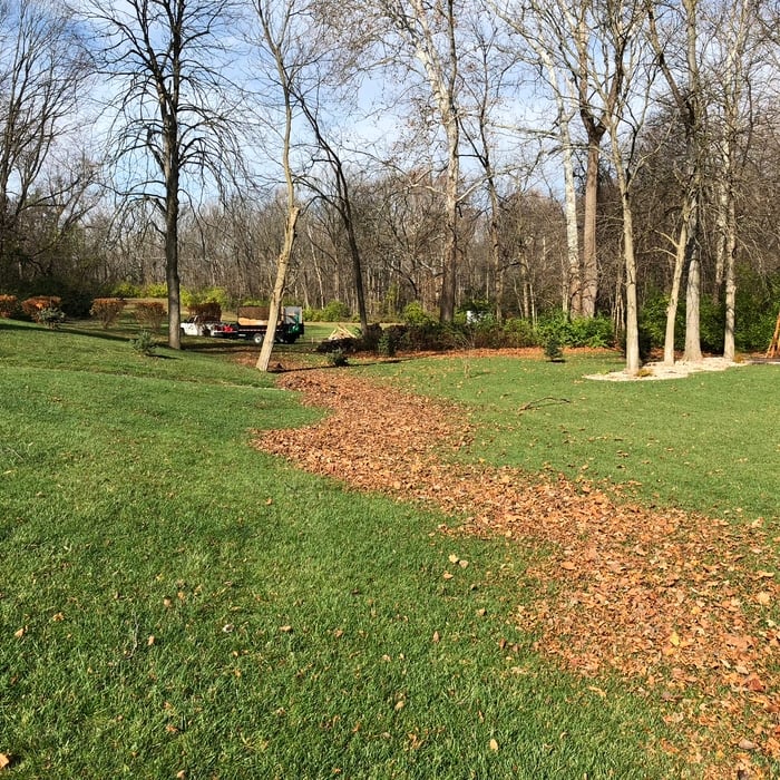 Leaf removal