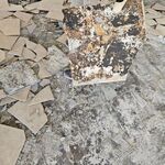 Moldy tile
