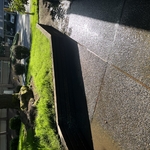 BBQ Area