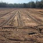Land Clearing