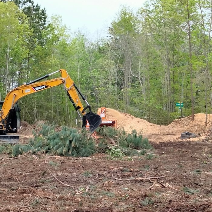 Lot/Land clearing in progress