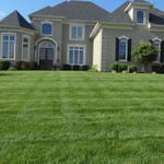 Reseeded September 2011, Hillcrest - Prospect, KY