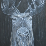 Moose 2022 Waterbury, VT