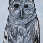 Owl 2023