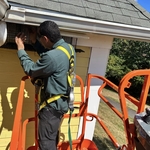 Raccoon Removal