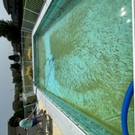 Pool Cleaning
