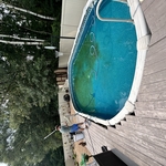 Pool Cleaning