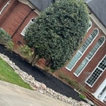 Previous jobs