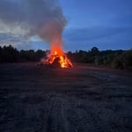 land clearing