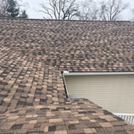 Rear of home