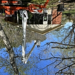 Tree trimming