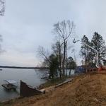 Tree removal