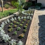 Mulch