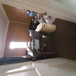 Junk Removal