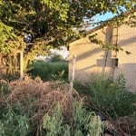 Our Work