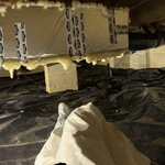 Mold Remediation