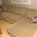 Sectional Couch Cleaning