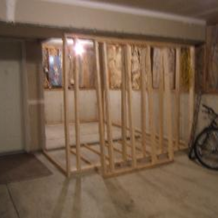 Framed In Garage