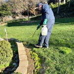 Spot treating Weeds