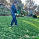 Applying Fertilizer to the Lawn