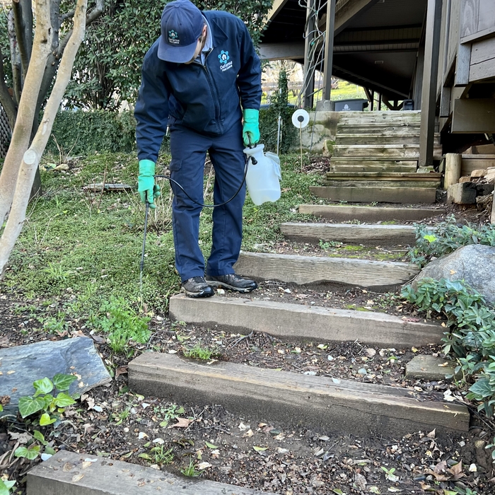 Spot Treatment for Weeds
