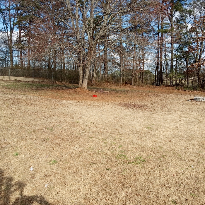Before The Fence