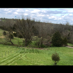 Grading / Road