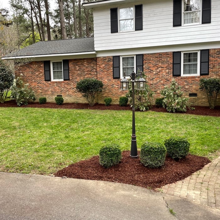 Mulch and trimmed hedges