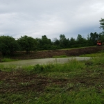 Pond