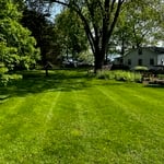 Lawn