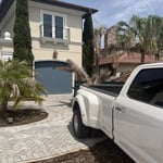 Palm Tree Debris
