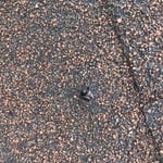 Raleigh, NC Asphalt Roof