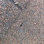 Raleigh, NC Asphalt Roof