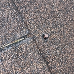 Raleigh, NC Asphalt Roof