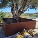 sheet steel planter box