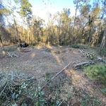 Land Clearing