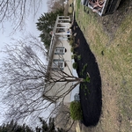 Spring clean up