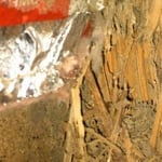 Termite Damage Slab Home