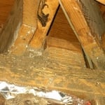 Termite Damage Slab Home