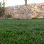 Client Back Yard