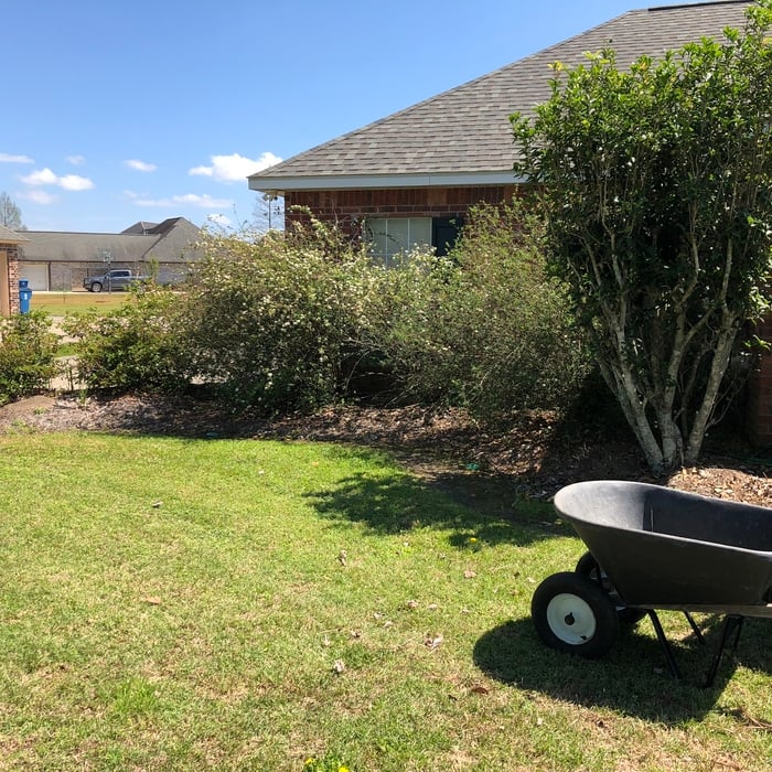 Landscaping