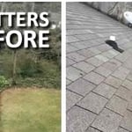 Gutter Clean Out