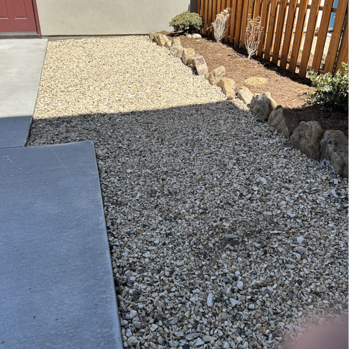 Back yard