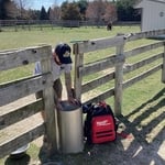 Outdoor Horse Water