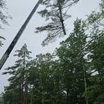 Local Crane Job in the ra