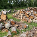 Firewood