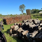 Firewood