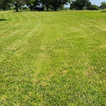Lawncare client