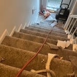 Carpet Stairs