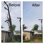 Residential Tree Work